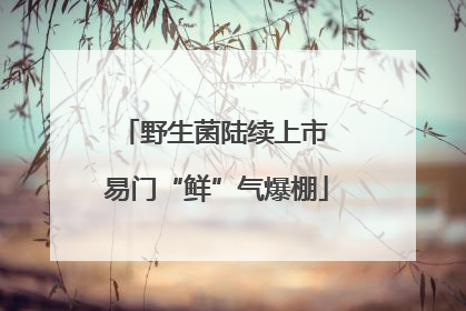 野生菌陆续上市 易门“鲜”气爆棚