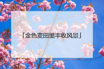 金色麦田里丰收风景