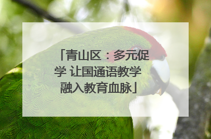 青山区：多元促学 让国通语教学融入教育血脉
