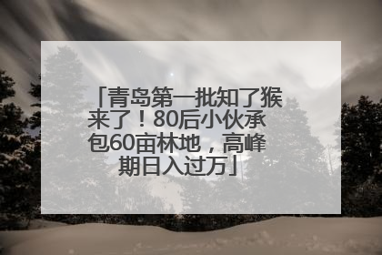 青岛第一批知了猴来了！80后小伙承包60亩林地，高峰期日入过万