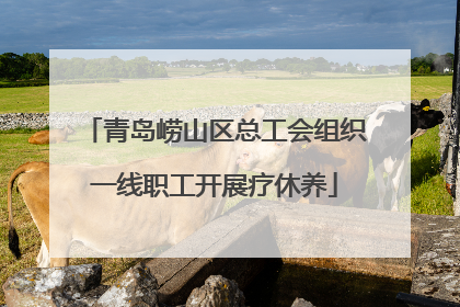 青岛崂山区总工会组织一线职工开展疗休养