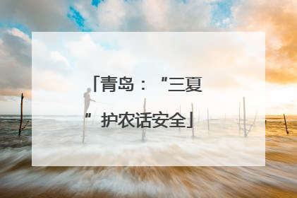 青岛：“三夏”护农话安全