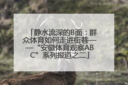 静水流深的B面：群众体育如何走进街巷——“安徽体育观察ABC”系列报道之二