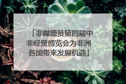 非媒盛赞第四届中非经贸博览会为非洲各国带来发展机遇