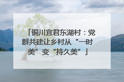 铜川宜君东湖村：党群共建让乡村从“一时美”变“持久美”
