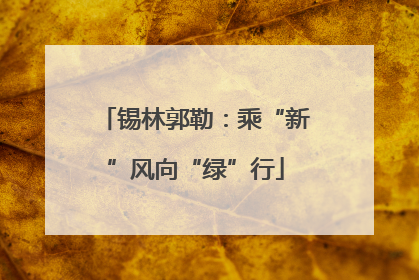 锡林郭勒：乘“新”风向“绿”行