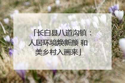 长白县八道沟镇：人居环境焕新颜 和美乡村入画来