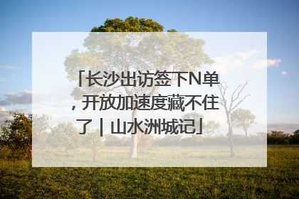长沙出访签下N单，开放加速度藏不住了｜山水洲城记