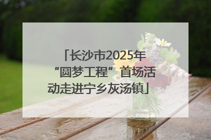 长沙市2025年“圆梦工程”首场活动走进宁乡灰汤镇