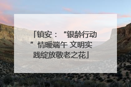 镇安：“银龄行动”情暖端午 文明实践绽放敬老之花
