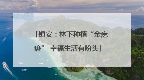 镇安：林下种植“金疙瘩” 幸福生活有盼头