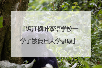 镇江枫叶双语学校一学子被复旦大学录取