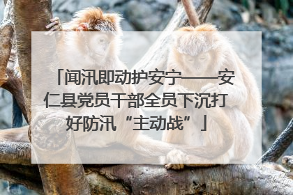 闻汛即动护安宁——安仁县党员干部全员下沉打好防汛“主动战”