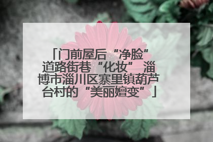 门前屋后“净脸” 道路街巷“化妆” 淄博市淄川区寨里镇葫芦台村的“美丽嬗变”