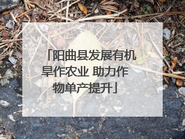 阳曲县发展有机旱作农业 助力作物单产提升
