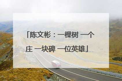 陈文彬：一棵树 一个庄 一块碑 一位英雄