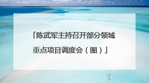 陈武军主持召开部分领域重点项目调度会（图）