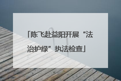 陈飞赴益阳开展“法治护绿”执法检查