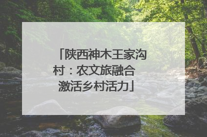 陕西神木王家沟村：农文旅融合 激活乡村活力