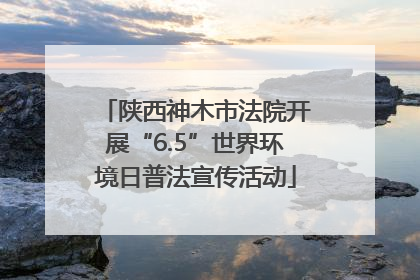 陕西神木市法院开展“6.5”世界环境日普法宣传活动
