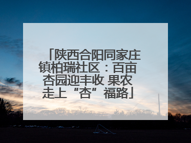陕西合阳同家庄镇柏瑞社区：百亩杏园迎丰收 果农走上“杏”福路