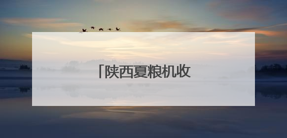 陕西夏粮机收作业陆续展开