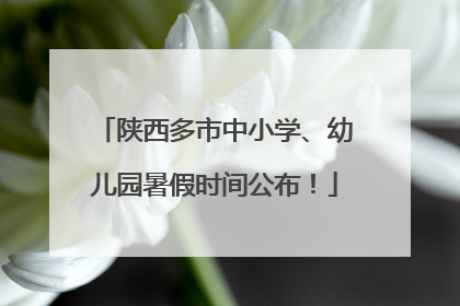 陕西多市中小学、幼儿园暑假时间公布！