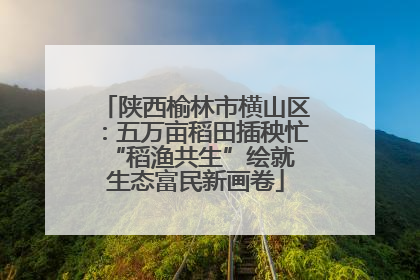 陕西榆林市横山区：五万亩稻田插秧忙 “稻渔共生”绘就生态富民新画卷