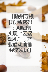 随州寻根节创新密码：AI赋能实现“云端观礼”，产业联动助推经济发展