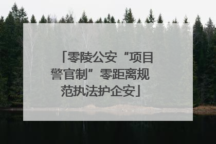 零陵公安“项目警官制”零距离规范执法护企安