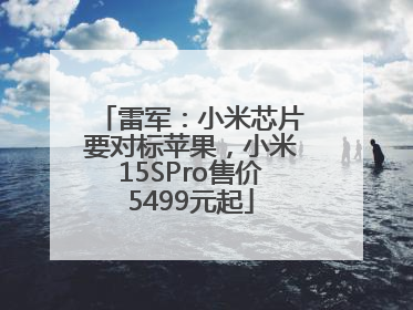 雷军：小米芯片要对标苹果，小米15SPro售价5499元起