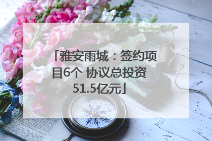 雅安雨城：签约项目6个 协议总投资51.5亿元