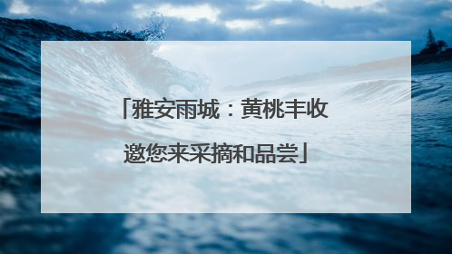 雅安雨城：黄桃丰收 邀您来采摘和品尝