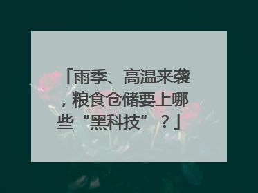 雨季、高温来袭，粮食仓储要上哪些“黑科技”？