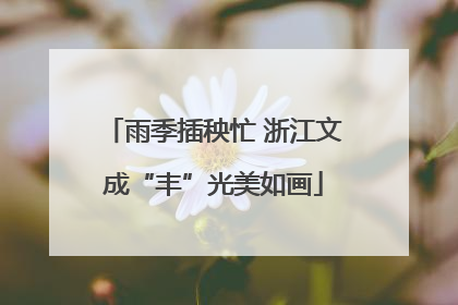 雨季插秧忙 浙江文成“丰”光美如画