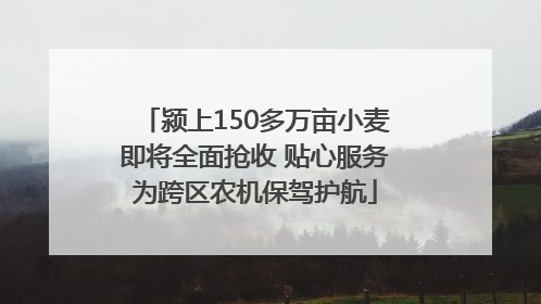 颍上150多万亩小麦即将全面抢收 贴心服务为跨区农机保驾护航