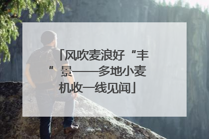 风吹麦浪好“丰”景——多地小麦机收一线见闻