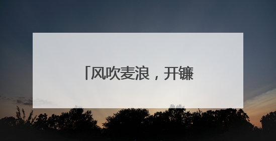 风吹麦浪，开镰啦！顺义15万亩小麦迎来丰收