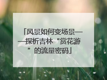 风景如何变场景——探析吉林“赏花游”的流量密码