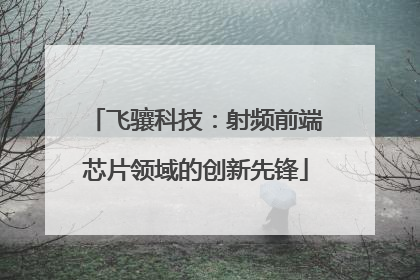 飞骧科技：射频前端芯片领域的创新先锋