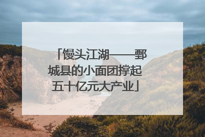 馒头江湖——鄄城县的小面团撑起五十亿元大产业