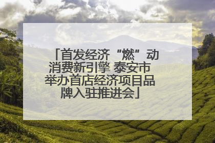 首发经济“燃”动消费新引擎 泰安市举办首店经济项目品牌入驻推进会