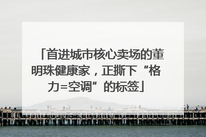 首进城市核心卖场的董明珠健康家，正撕下“格力=空调”的标签