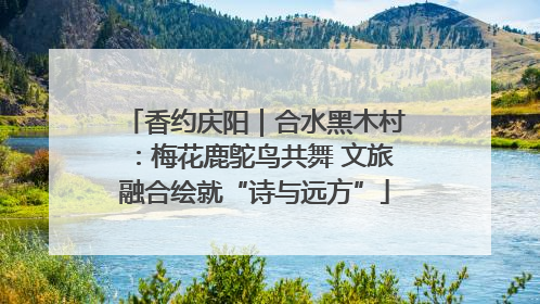 香约庆阳｜合水黑木村：梅花鹿鸵鸟共舞 文旅融合绘就“诗与远方”
