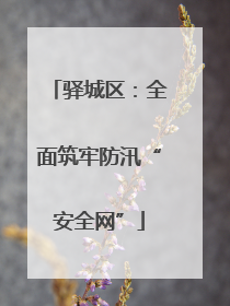 驿城区：全面筑牢防汛“安全网”