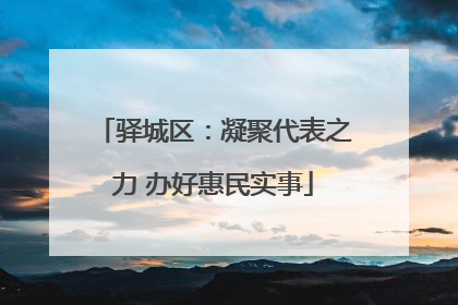 驿城区：凝聚代表之力 办好惠民实事