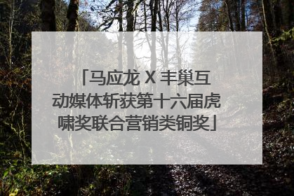 马应龙 X 丰巢互动媒体斩获第十六届虎啸奖联合营销类铜奖