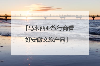 马来西亚旅行商看好安徽文旅产品