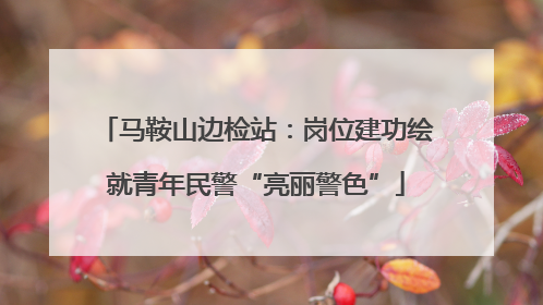 马鞍山边检站：岗位建功绘就青年民警“亮丽警色”