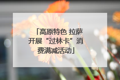 高原特色 拉萨开展“过林卡”消费满减活动